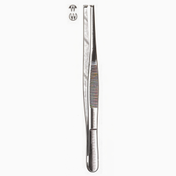 Tissue Forceps 2 x 3 Teeth 5.5in