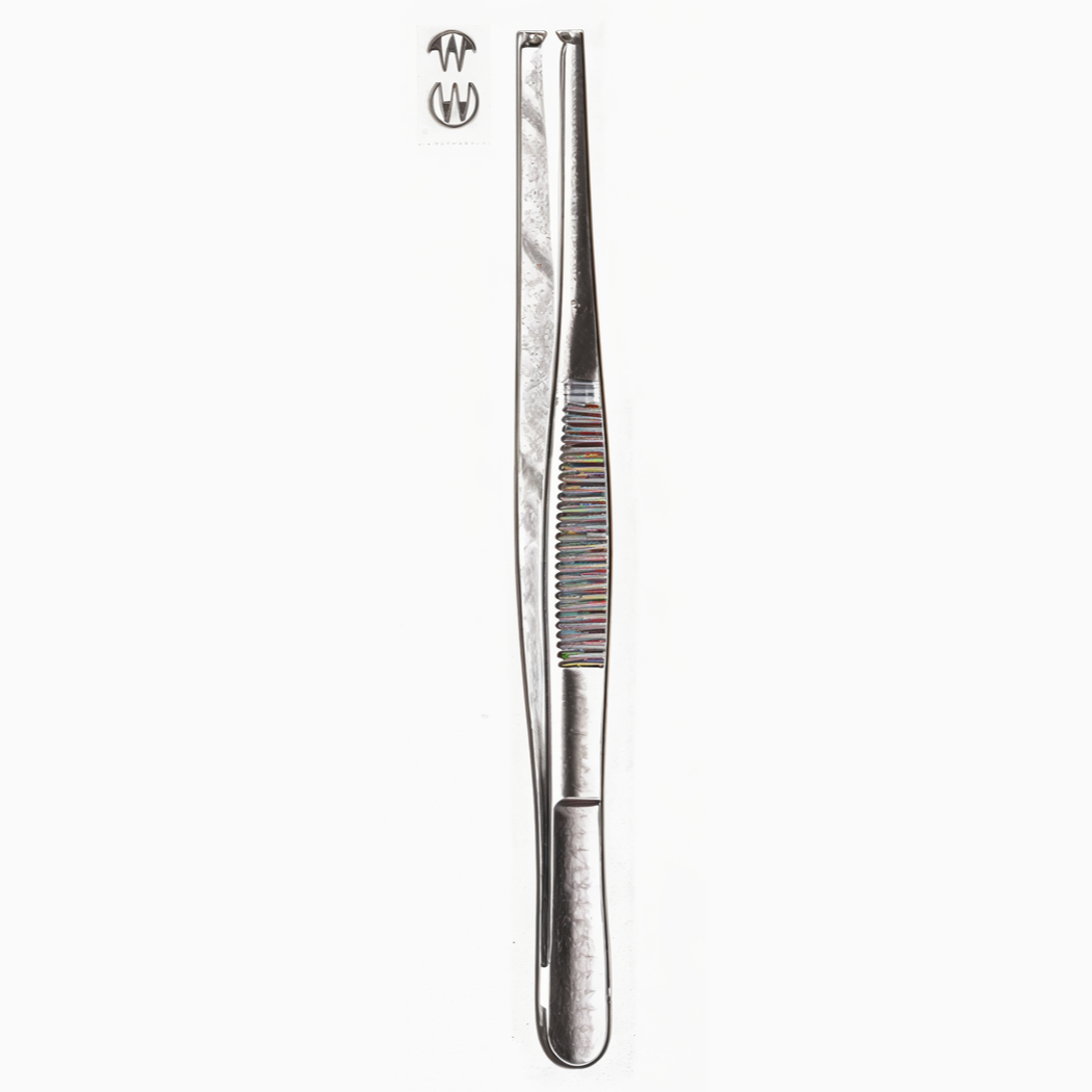 Tissue Forceps 2 x 3 Teeth 6in