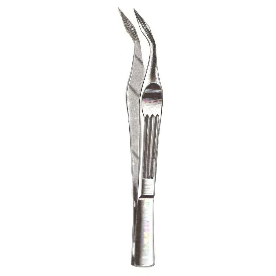 Carmalt (Walter) Splinter Forceps Angled 4.75in