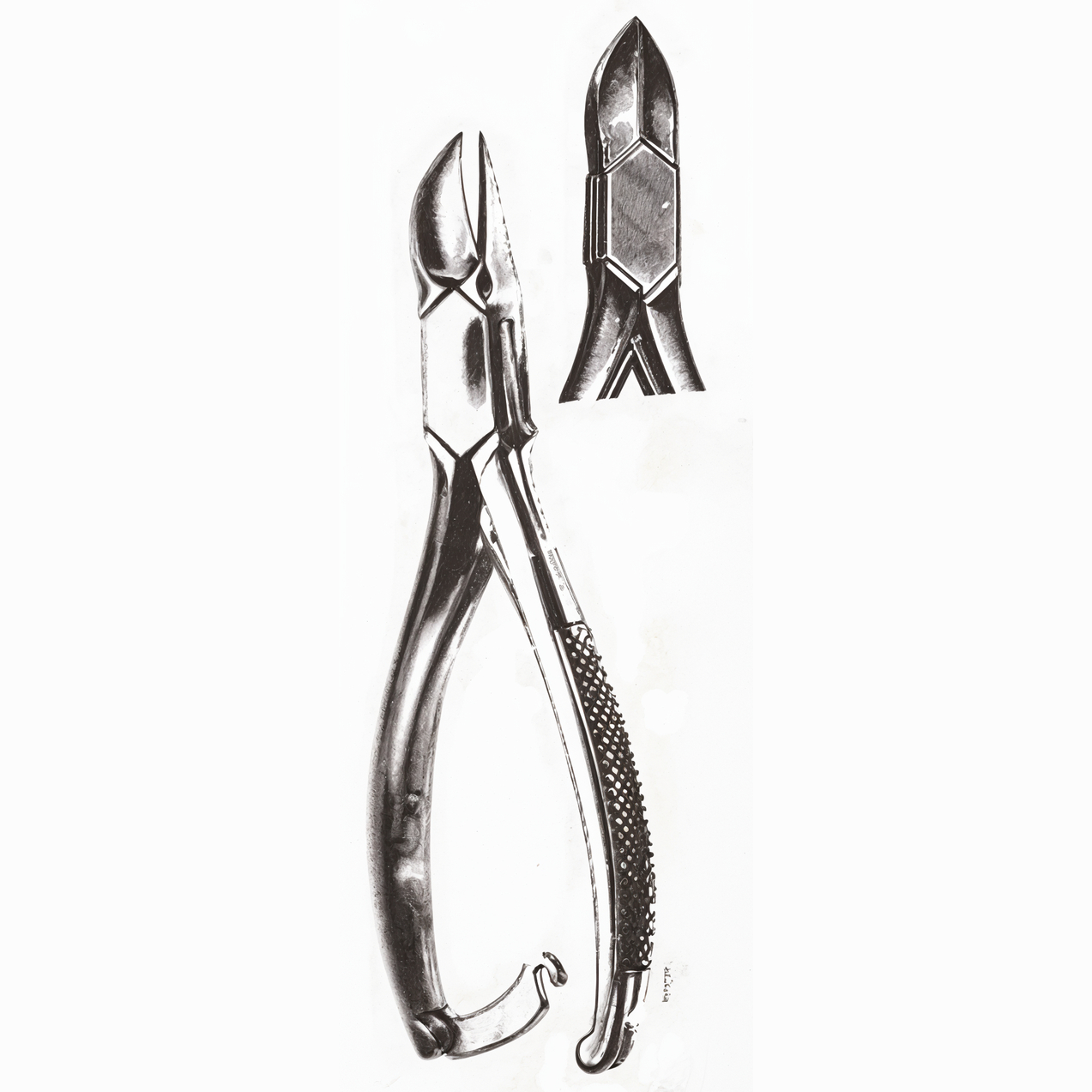 Nail Nippers 5.5in