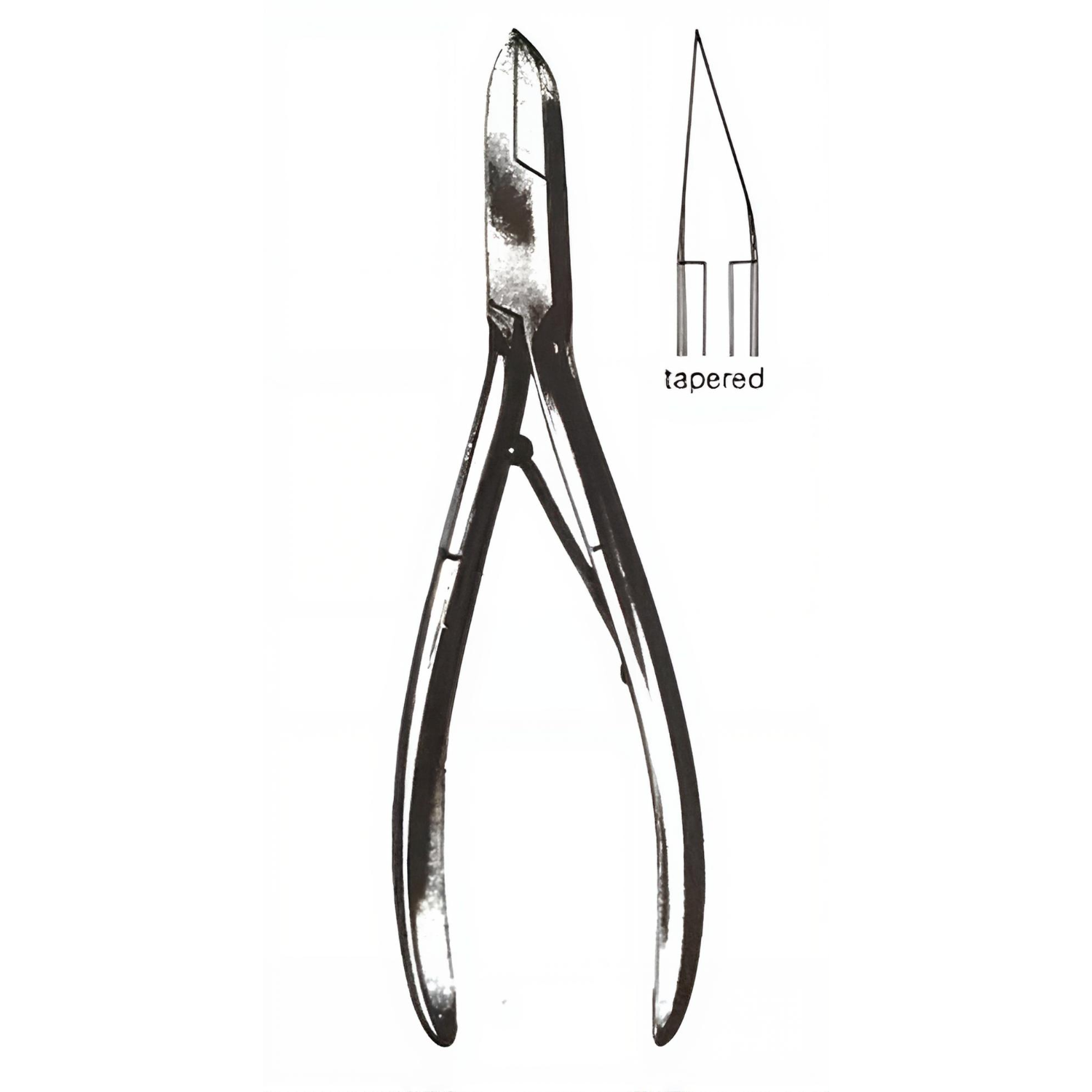 Littauer Nail Nippers Straight Jaw Double Springs 6in