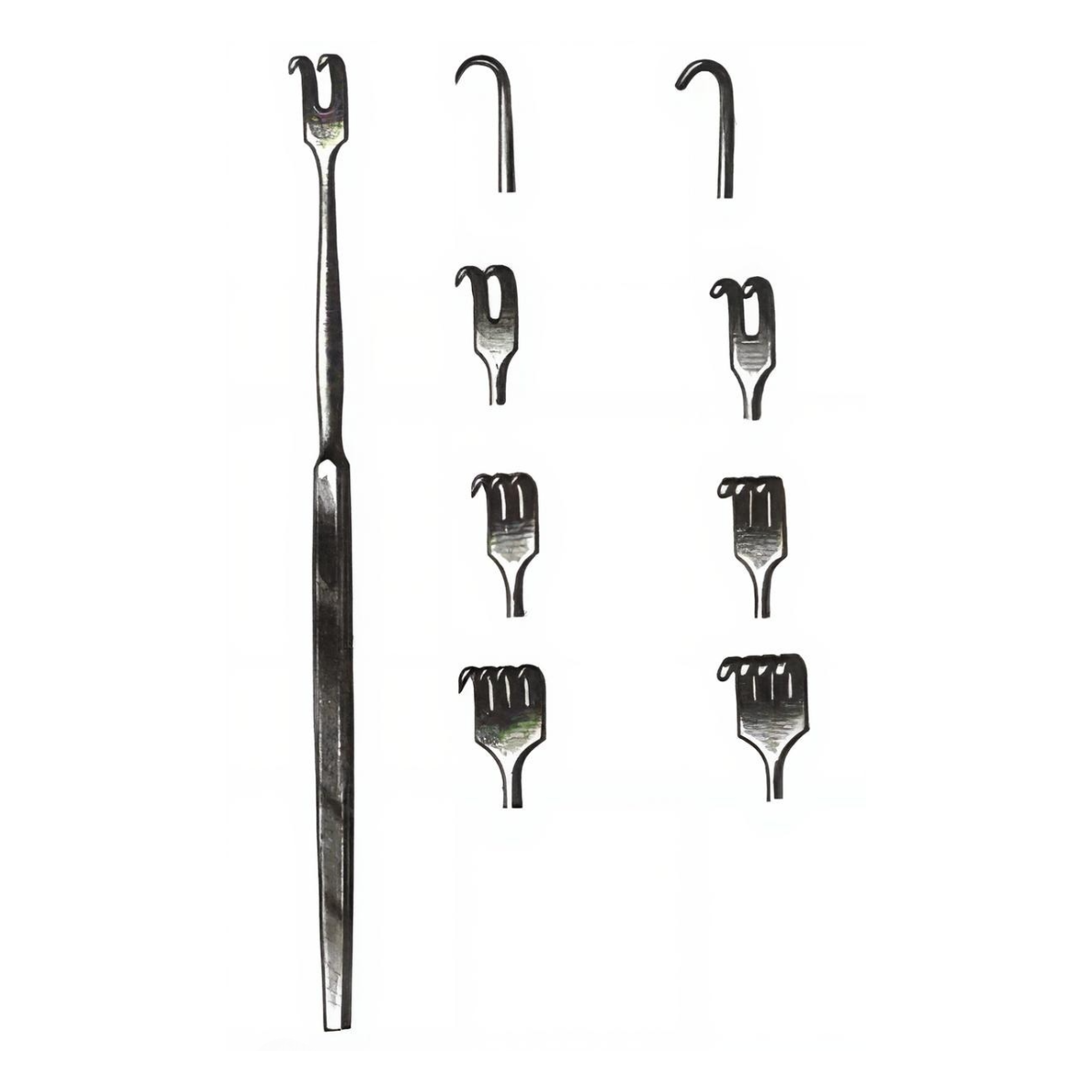 Skin (Trachea) Retractor 3 Prong Blunt 6.50in