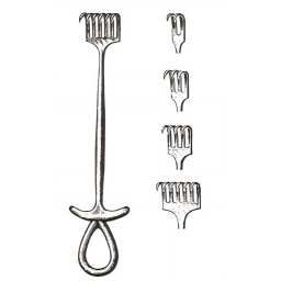 Murphy Retractor 2 Prongs Sharp 7.50in