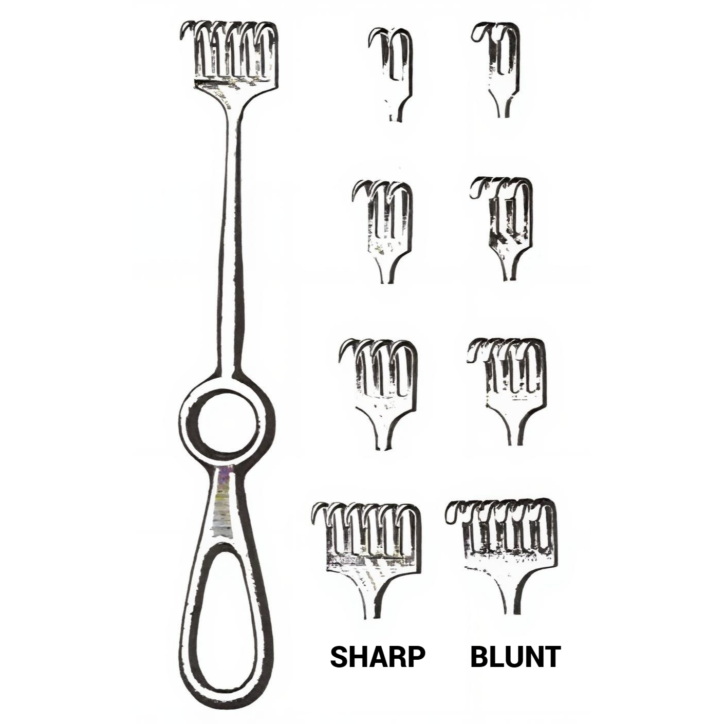 Volkman Retractor 4 Prongs Sharp 8.50in