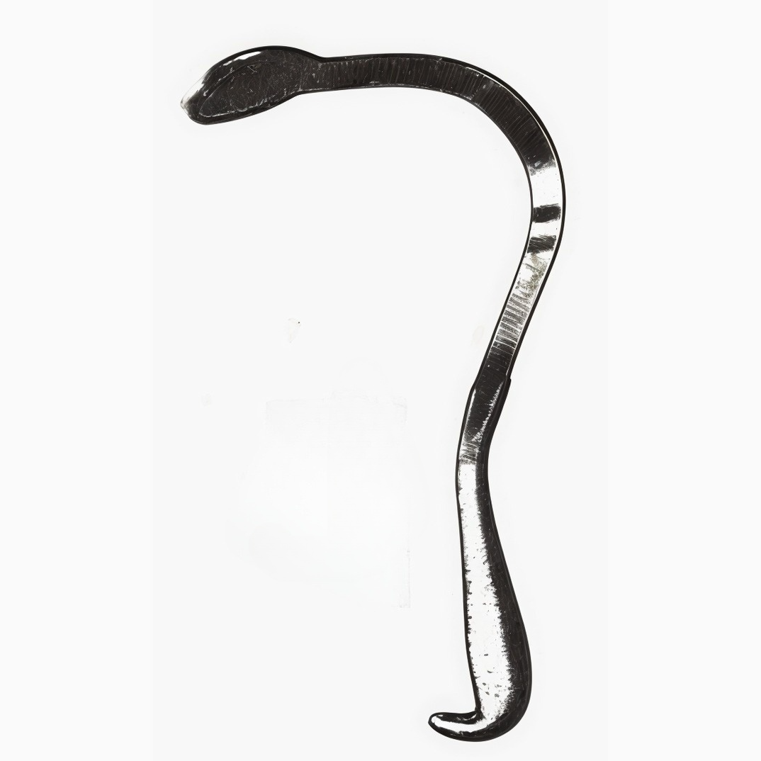 Harrington Retractors 9.5in w/ 1in Wide Blade