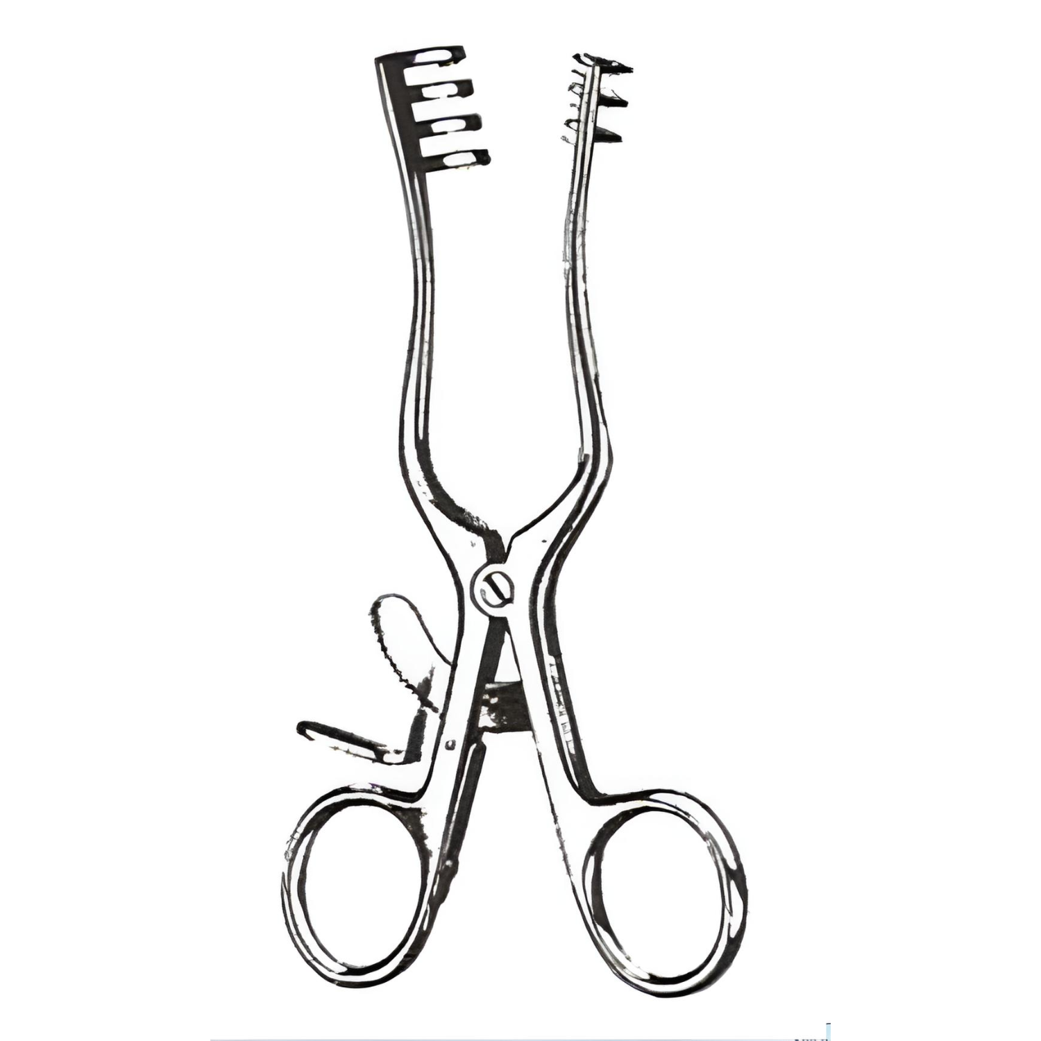 Weitlaner Retractor 3x4 Prongs Blunt 5.5in