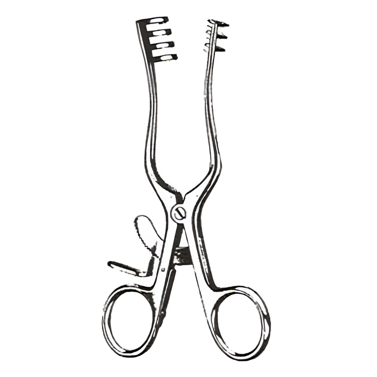 Weitlaner Retractor 2x3 Prongs Blunt 4in