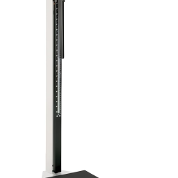 Portable Mechanical Physician Scale