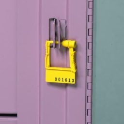 Plastic Seal for Breakaway Locks