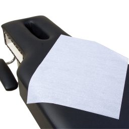 Pre-cut Crepe Headrest Paper Sheets 18" x 24" 1000/case