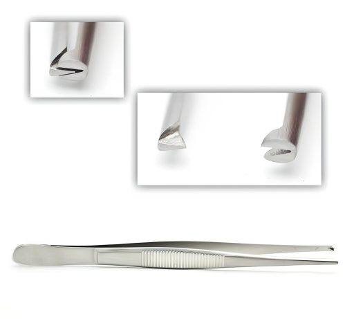 Tissue Forceps 1 X 2 Teeth