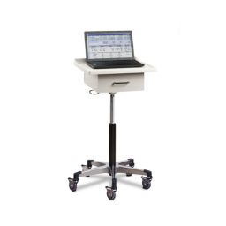 Computer Carts & Desks