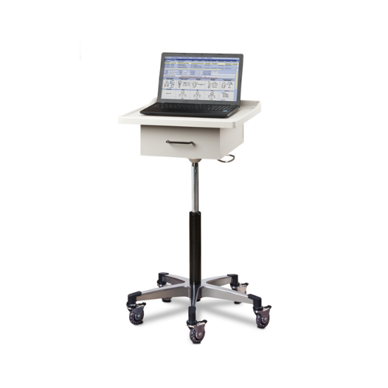 Laptop & Computer Stands
