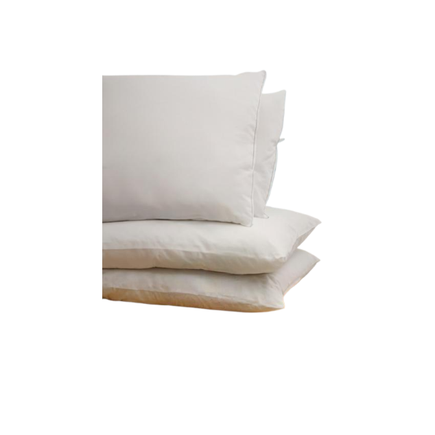 Disposable Pillows