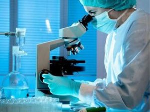 lab-supplies Laboratory equipment and supplies category